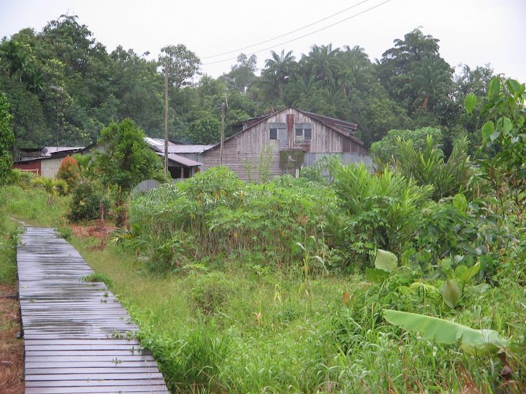 Ujung jalai gertak. Rumah Semumuk Baruh udah ayan.