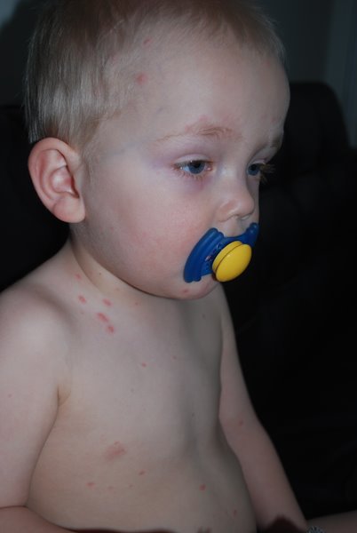 [090414+Sebban+koppor.jpg]