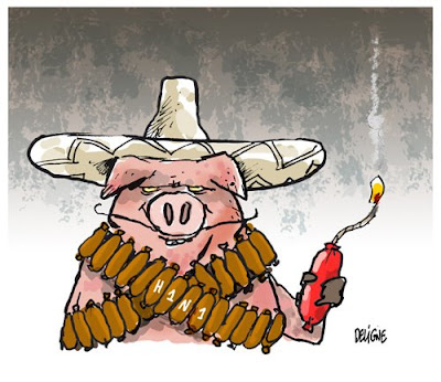 مقارنة  بالصور بين انفلونزا الخنازير  وبين الأنفلونزا العادية +الخنازير