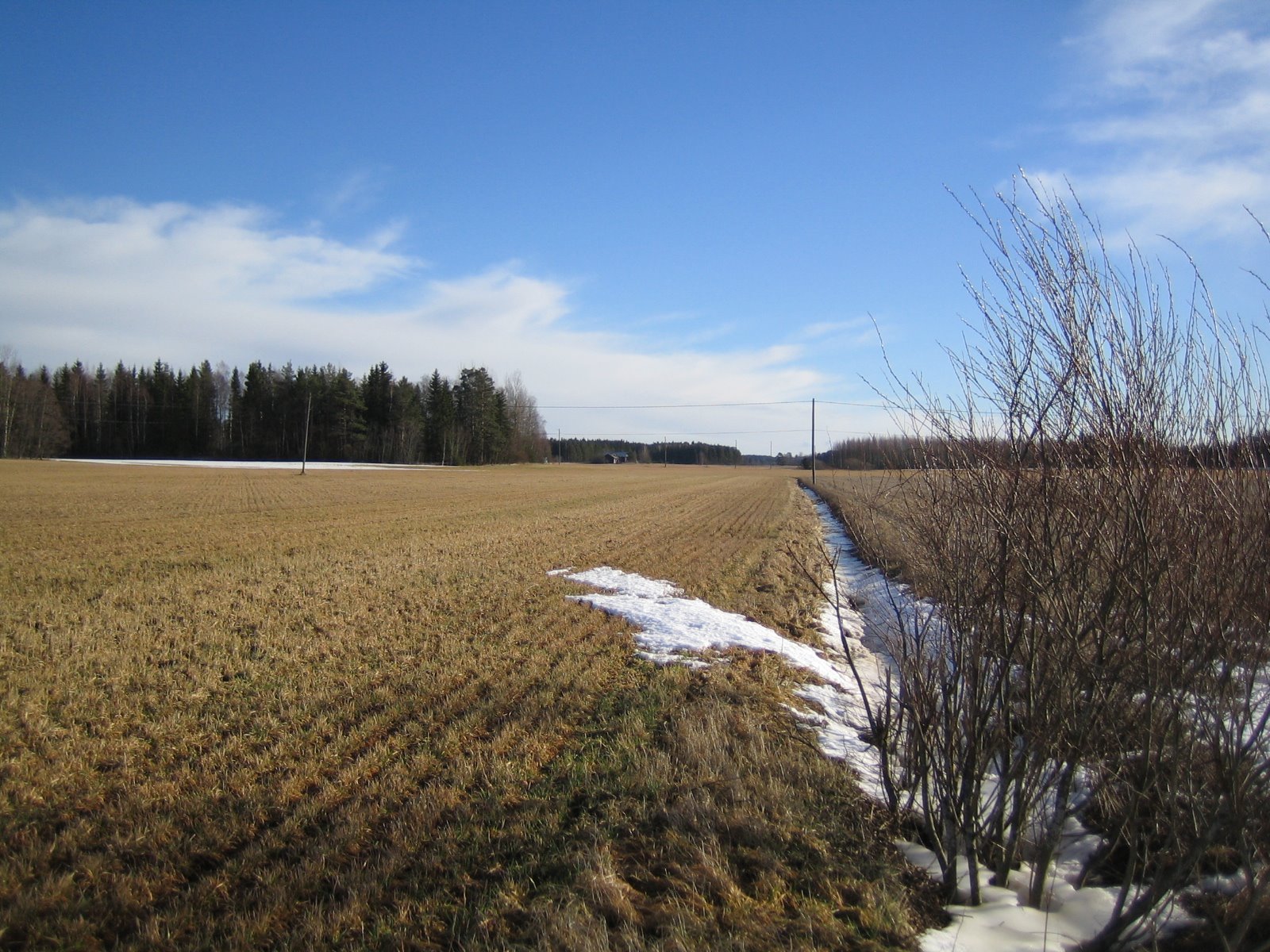 [IMG_2737.JPG]