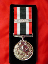 My SSM NATO Medal