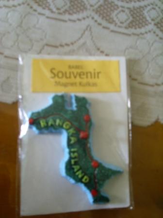 [DSCI0006.JPG]