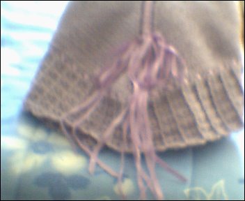 [lilas+tri.BMP]