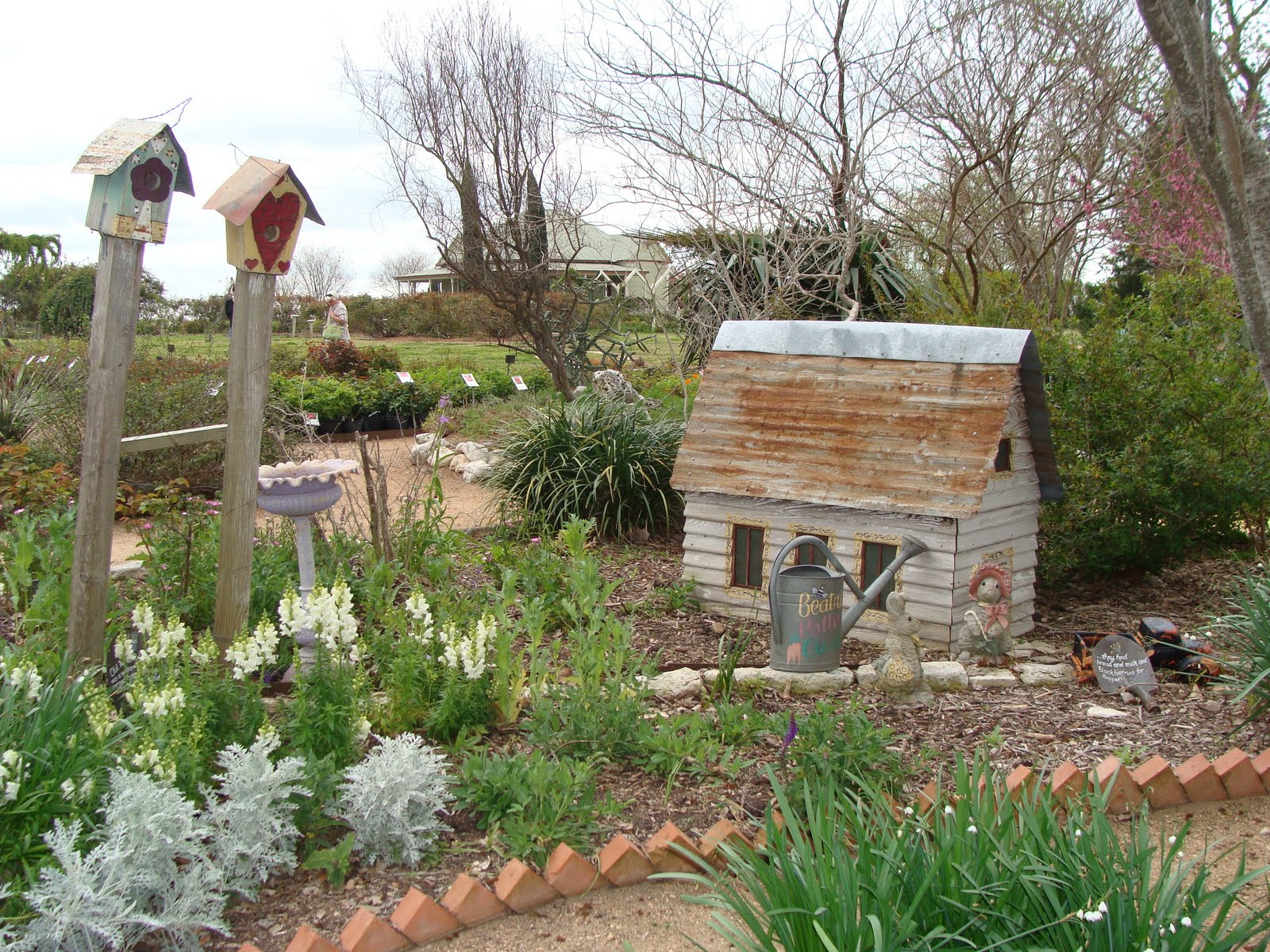 Beatrix potter garden! Fairy garden containers, Dream garden, Cottage