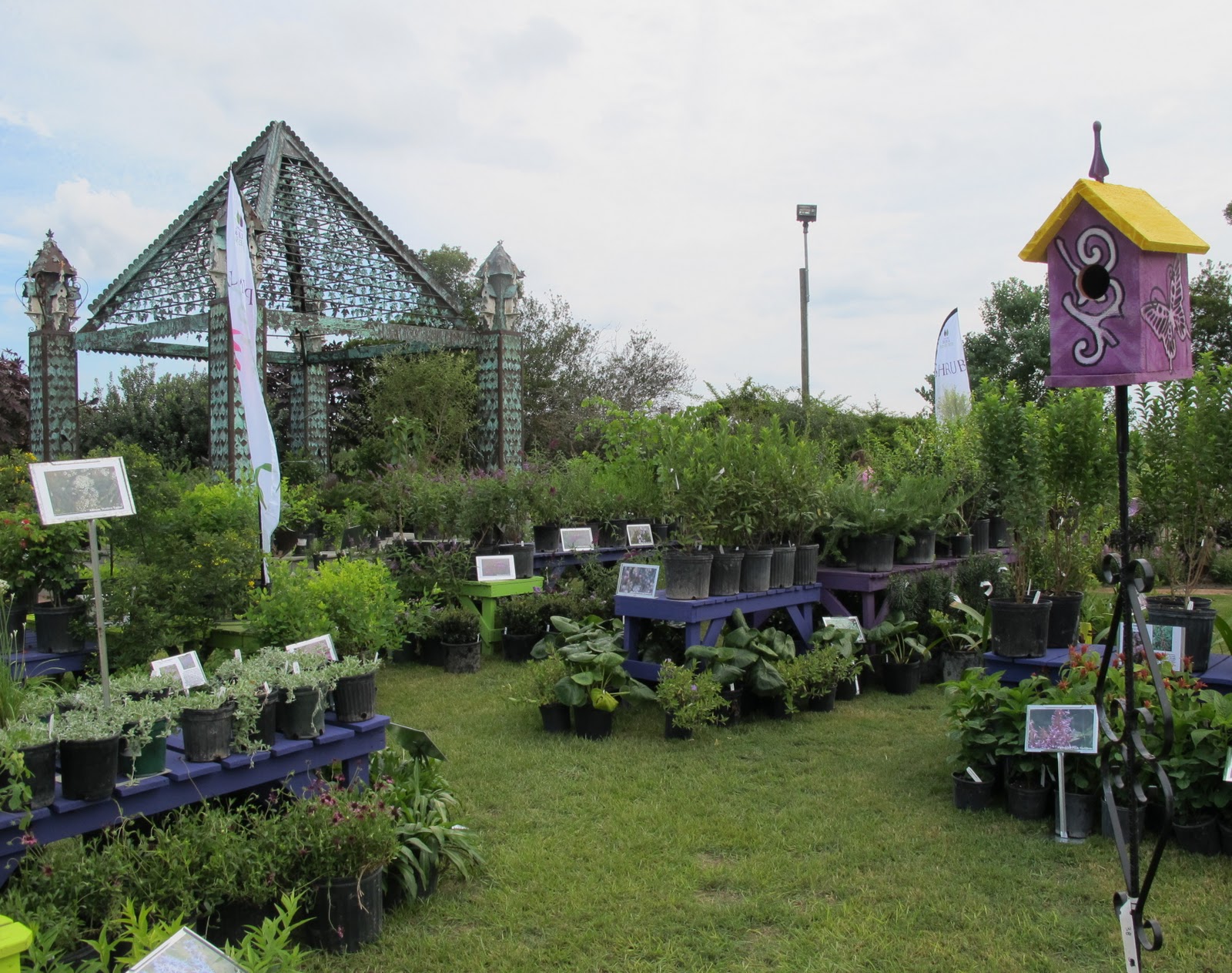 Bulbs and Buddies Lessons In Companion Planting, Part Two