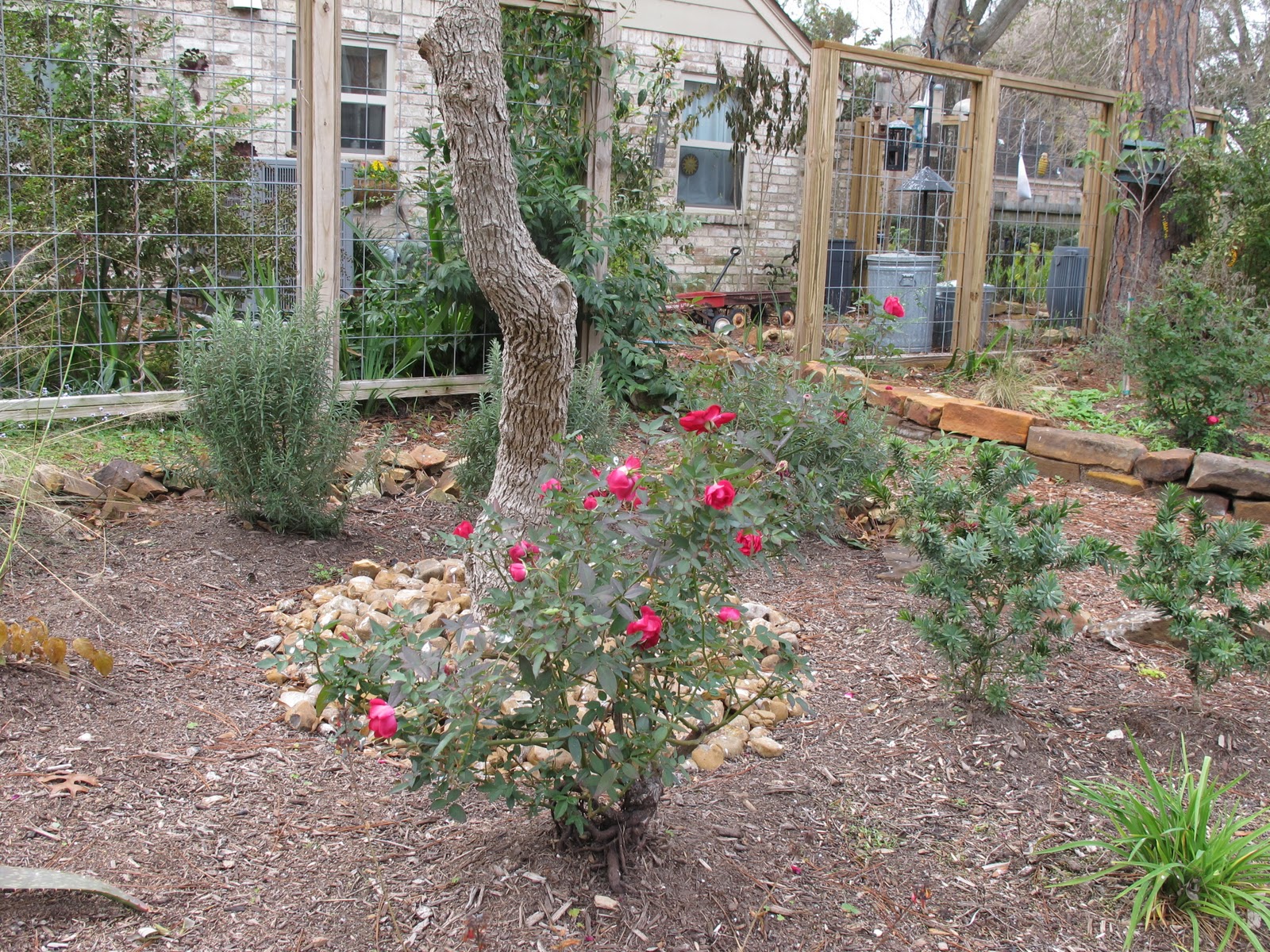 Defining Your Home Garden And Travel Inspired By Spirea