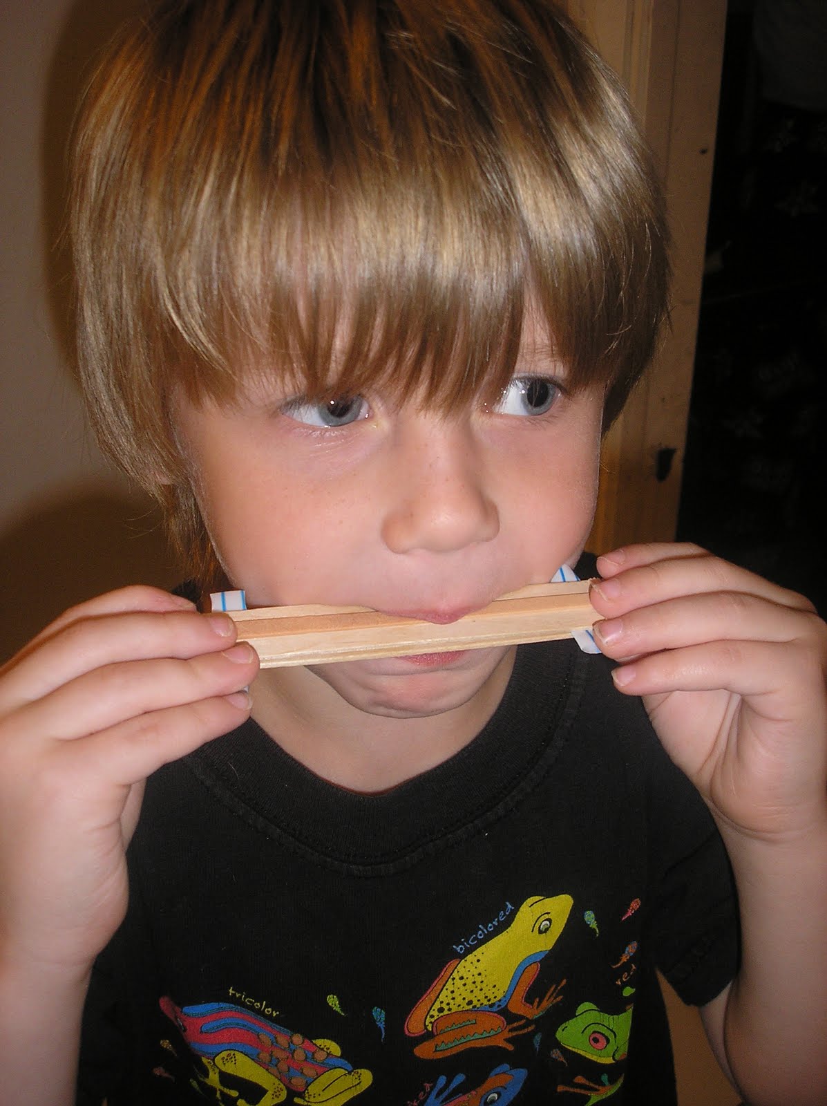 Comb Kazoo