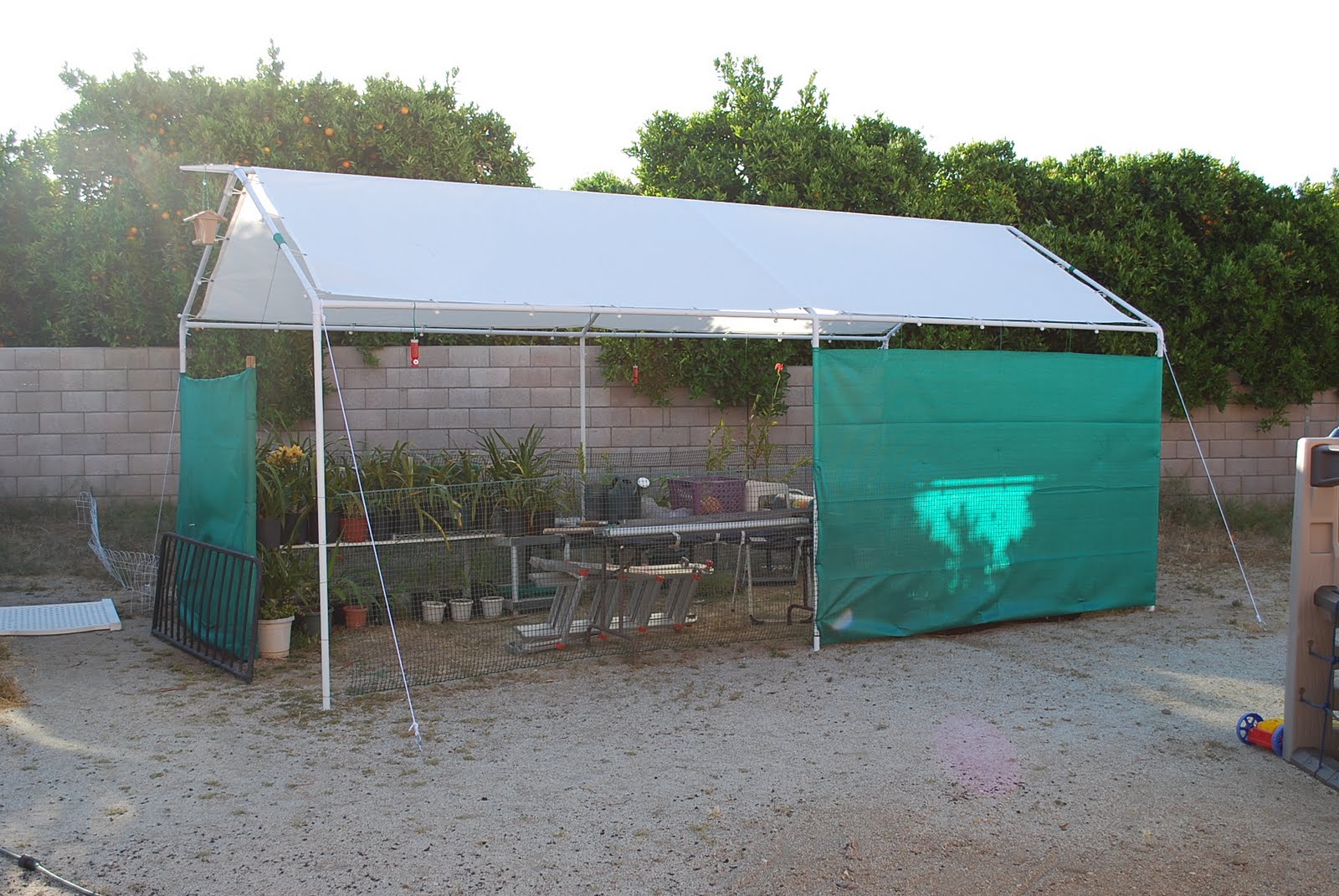 RuggedOrchids You grow orchids where? Orchid garden is expanding