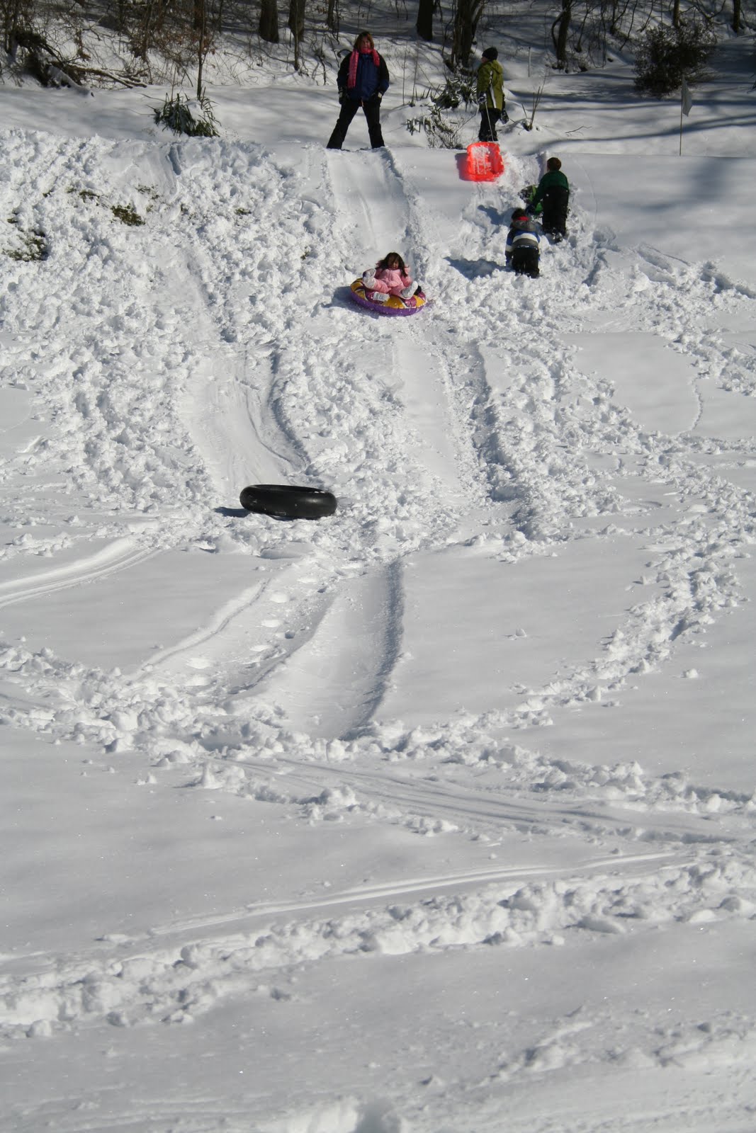[sleddingjan2010+098.JPG]