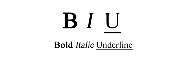 Bold Italic Underline