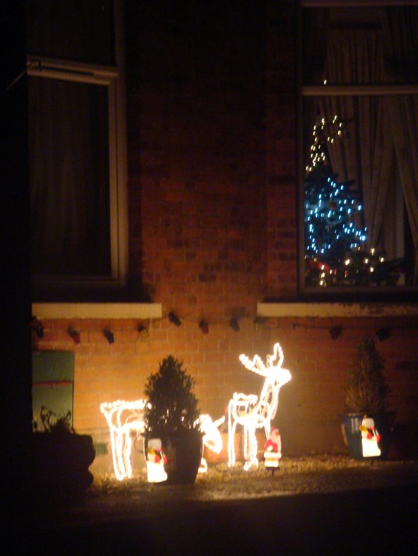 [rheindeer.jpg]