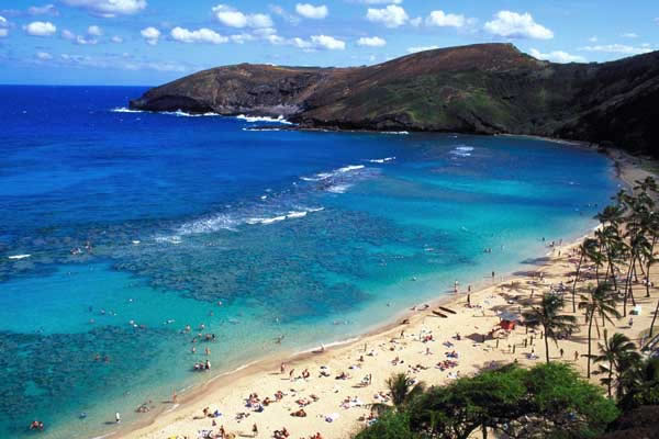 [hawaii-beach.jpg]