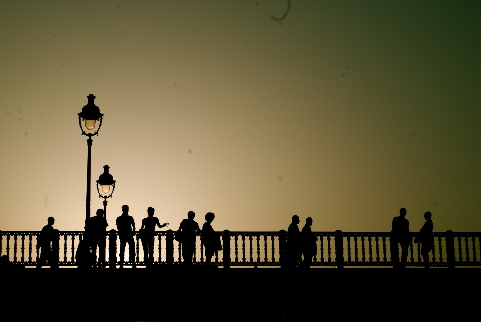 [DSC_0100_2.JPG]