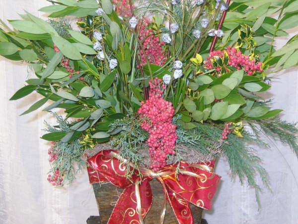 [branching+planters+nov08+004.JPG]