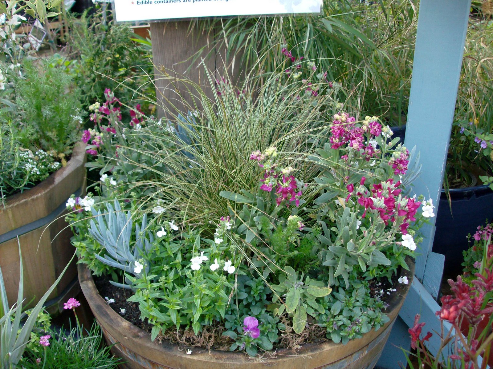 [HPIM0887.JPG]