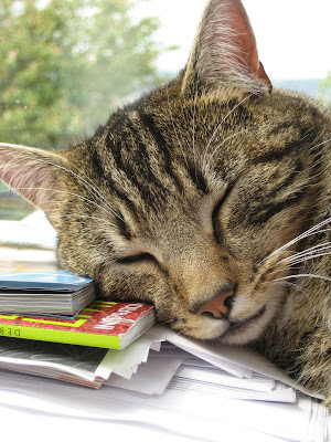 User submitted image