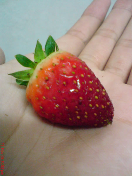 [DSC00913.JPG]