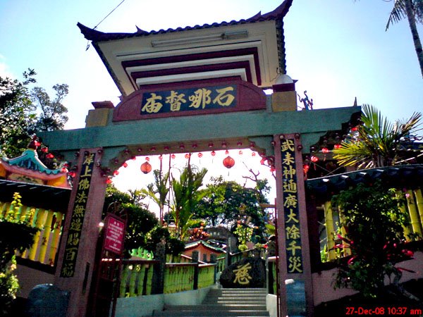 [DSC01493.JPG]