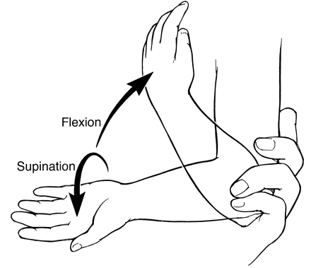 Elbow Flexion Extension