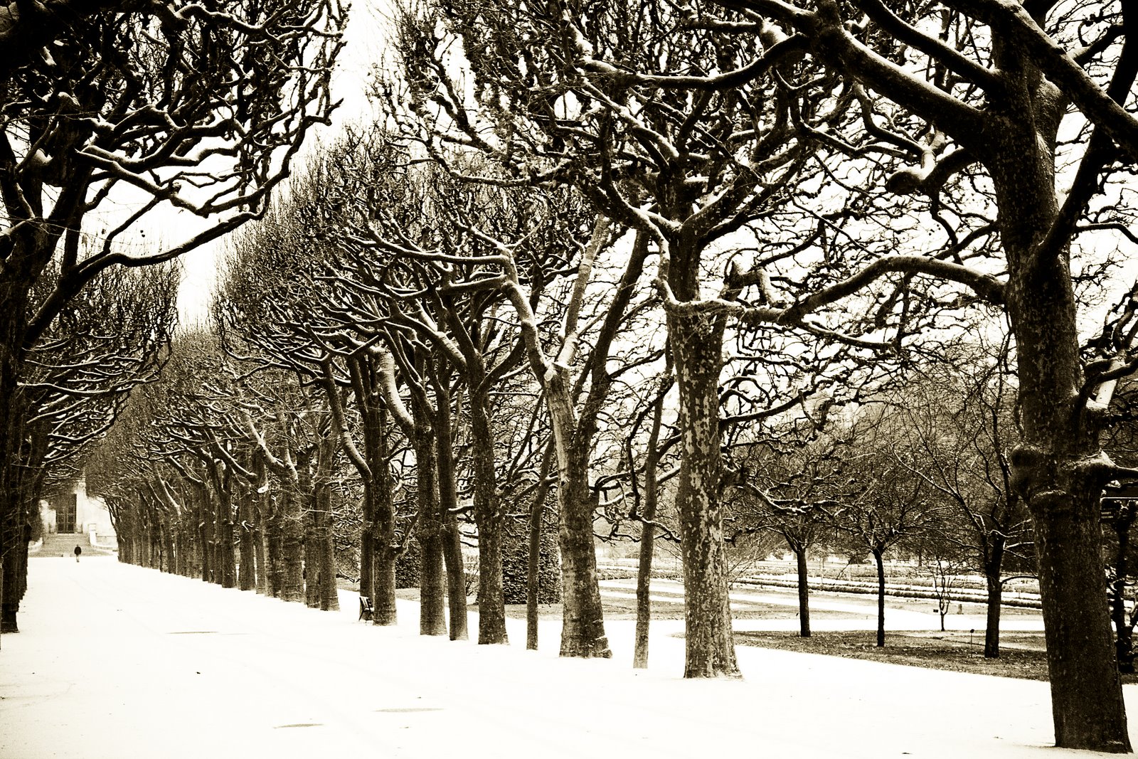 [Paris+Snow2.jpg]
