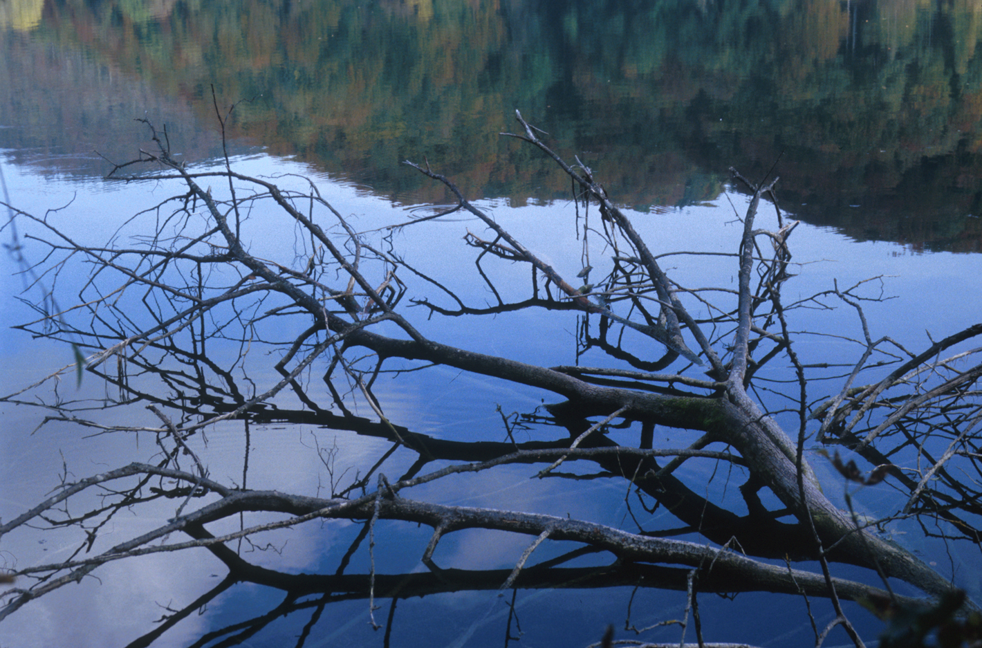 [autumn+reflection.jpg]