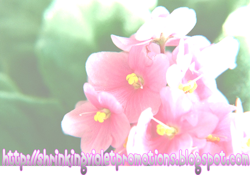 [SBBT08_ShrinkingViolets.png]