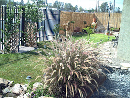 Farmacia Veterinaria y granero CIMARRON