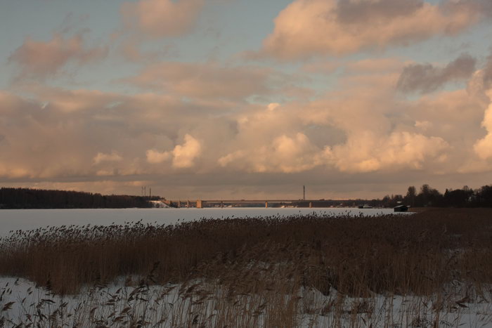 [IMG_153779_resize.JPG]