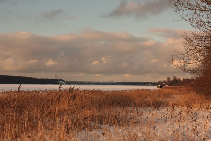 [IMG_153870_resize.JPG]