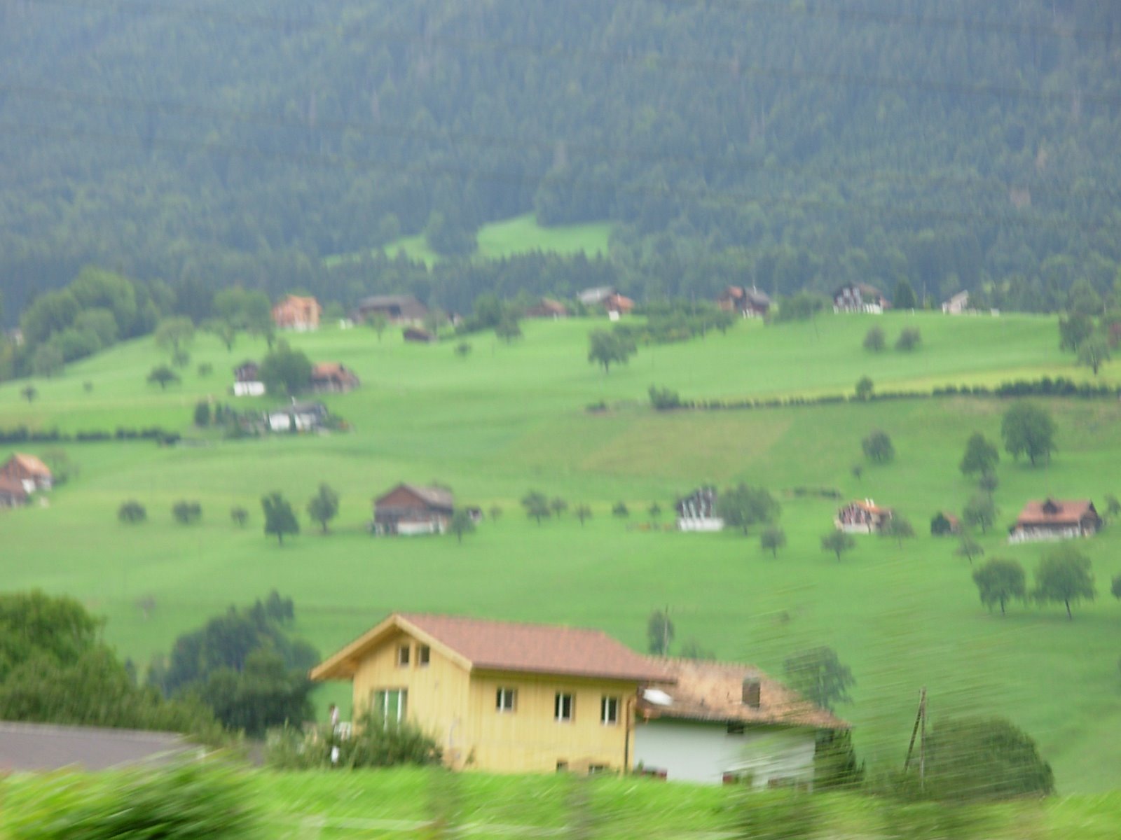 [DSCN2196.JPG]