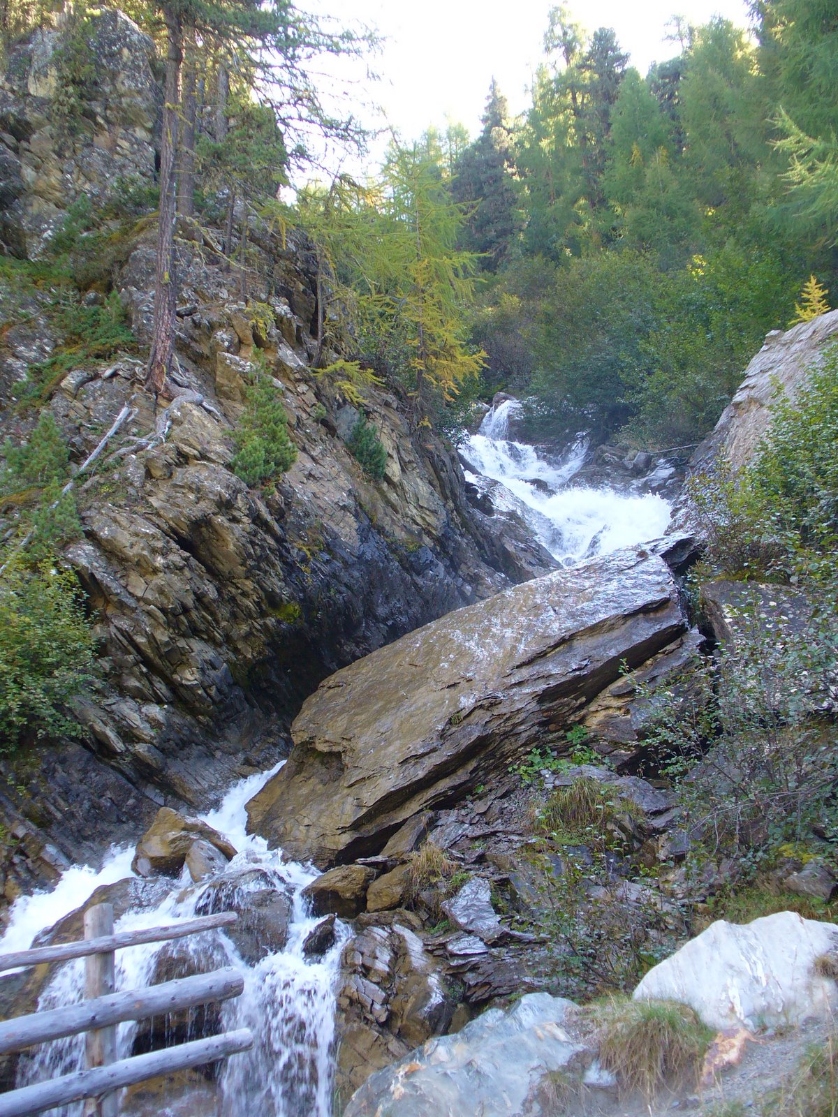 [P1120907.JPG]