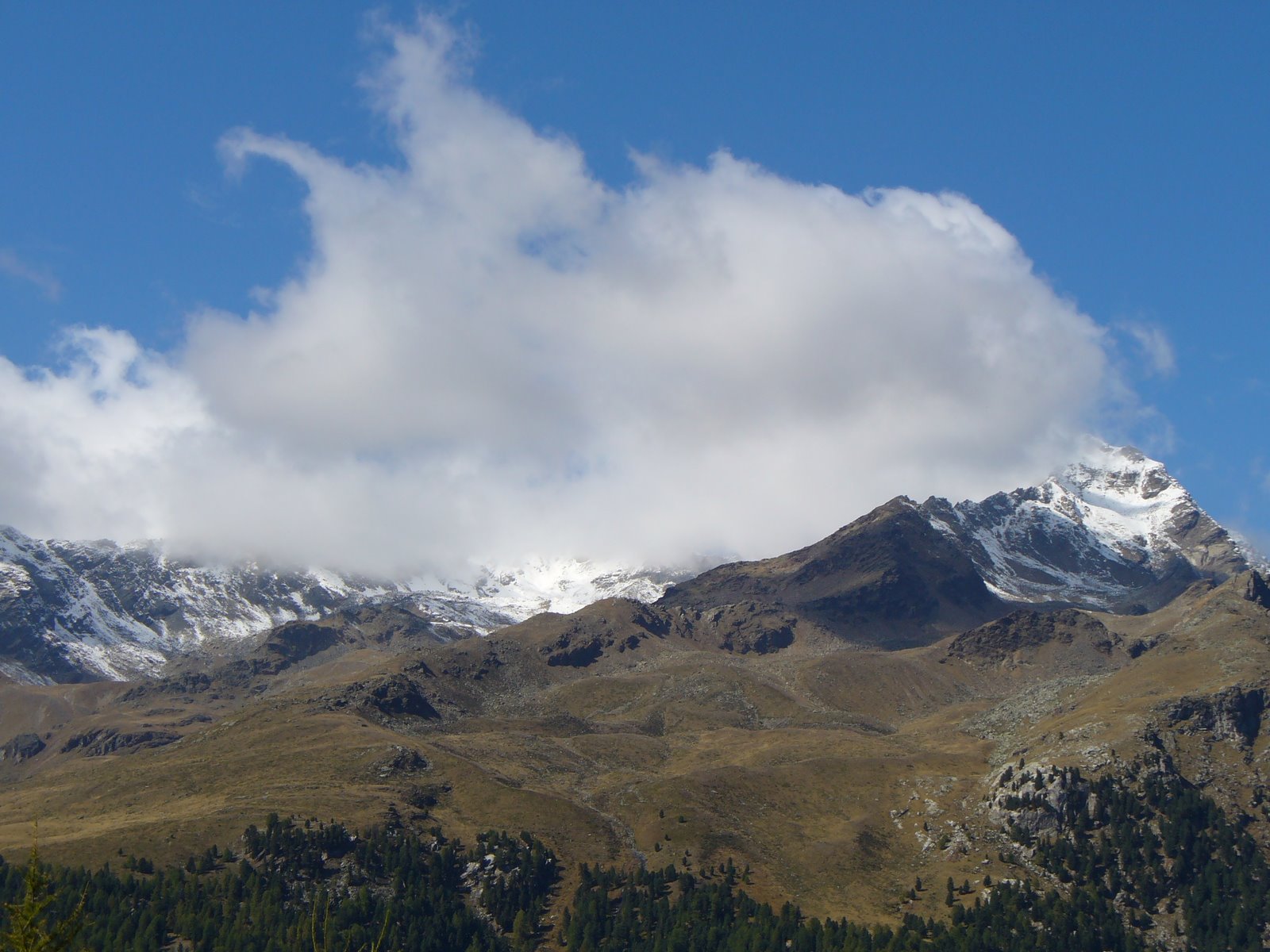 [P1120944.JPG]