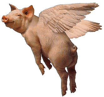 [pigsflyiu8.gif]