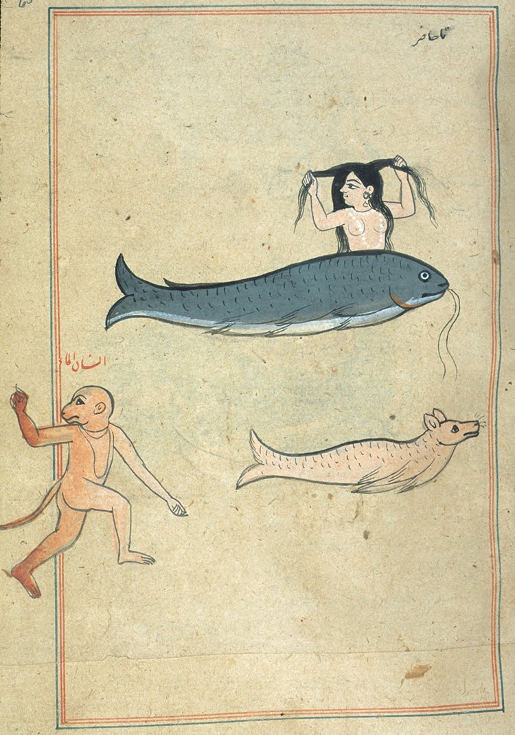 [p265a.jpg]