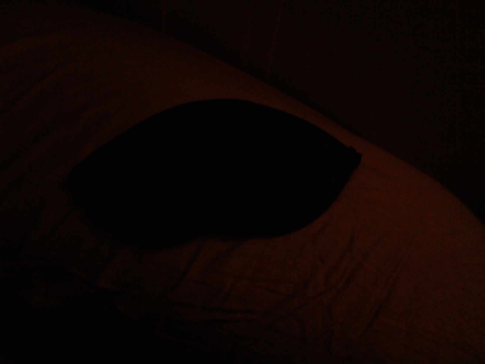 [0210002316-768454.jpg]