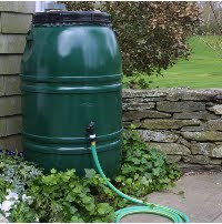 Rain Barrels Rain Barrels