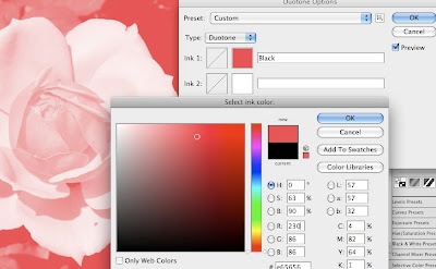 photoshop duotone tutorial screen shot