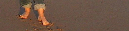 [102_0219_1.JPG]