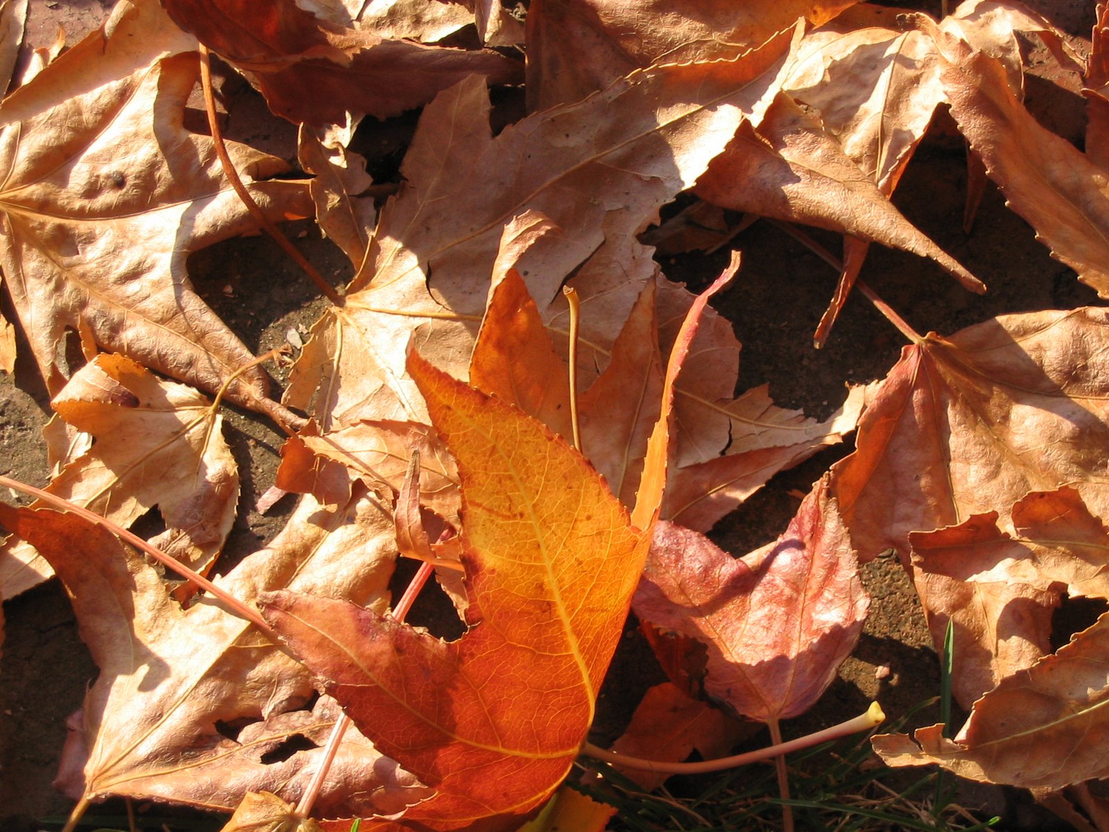 [IMG_1929.JPG]
