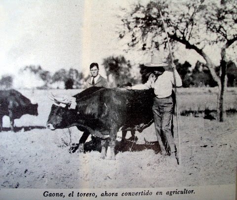 Aldama Guanajuato