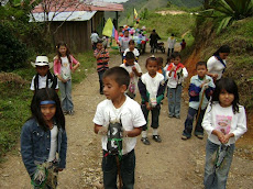 LAS MARAVILLAS DE NUESTROS NIÑOS