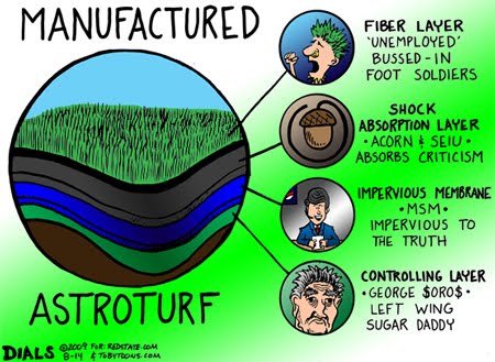 [ASTROTURFTobyToonsRedState81709.jpg]
