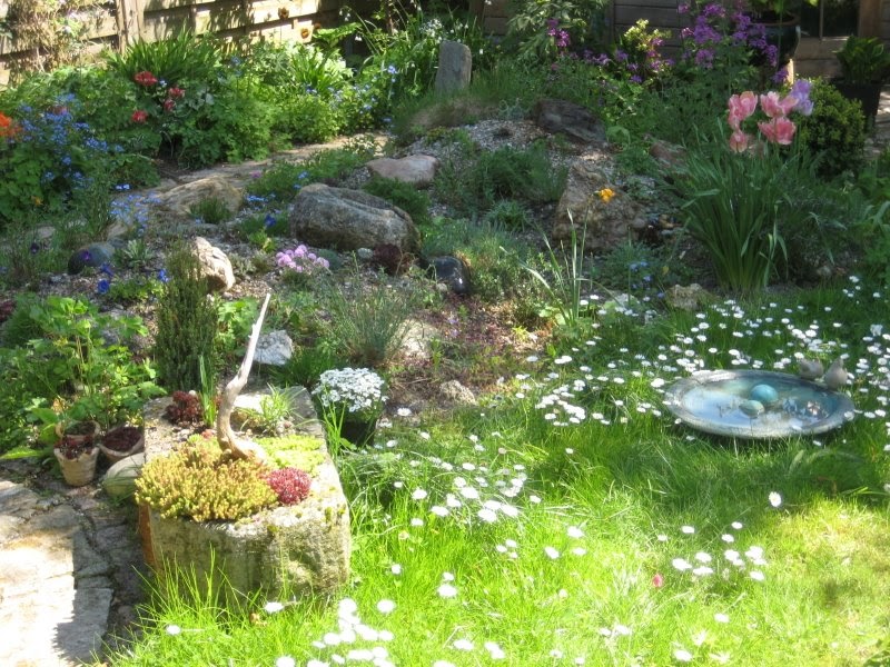 Garten-Impressionen: DER STEINGARTEN BLÜHT AUF / THE ROCK GARDEN IS