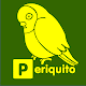 Minha foto