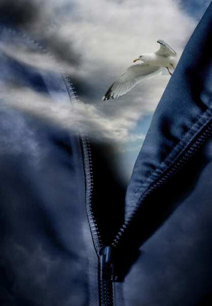 [NxPZhDslJhAbgN.jpg]