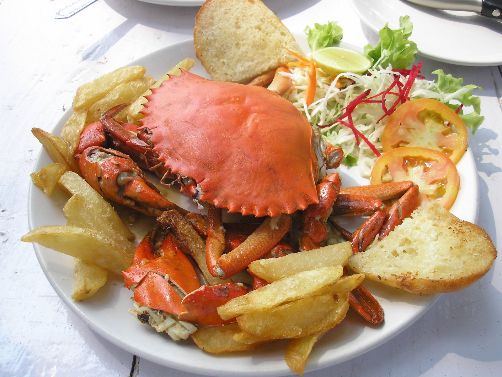 The Lifestyle Portal Travel & Food> Goa Restaurant Guide> Zeebop