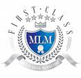 Multi Level Marketing