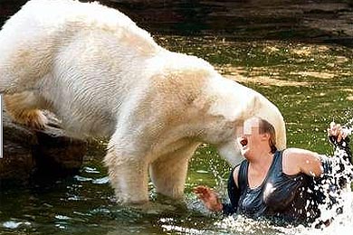 [oso-foso-berlin.jpg]