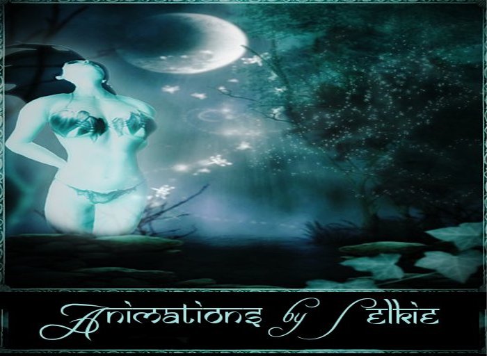 Animations  by Selkie