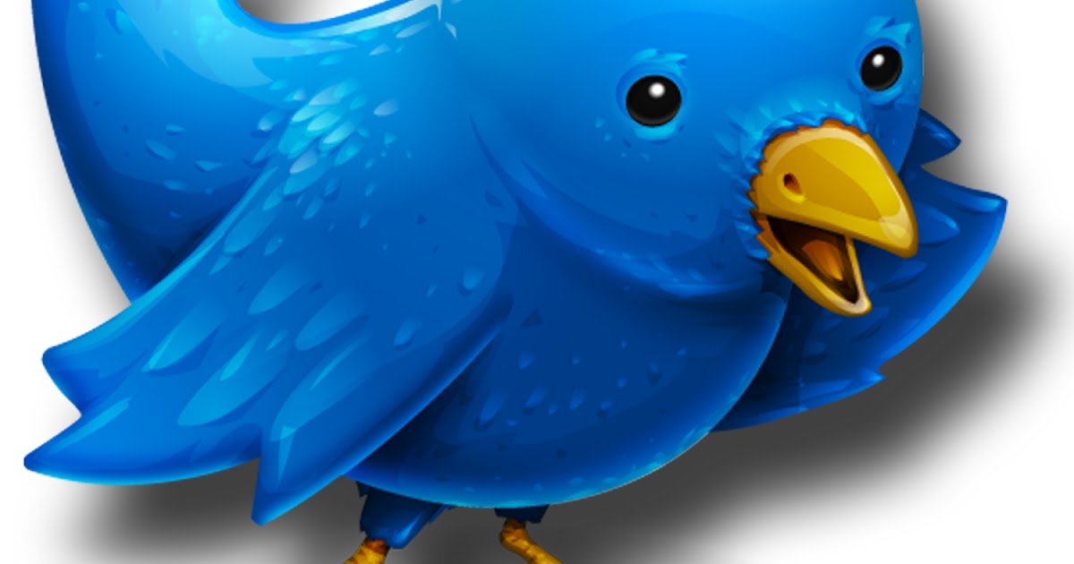 De Zone van de Kaalheid Twittergernissen (2) De Zone van de Kaalheid Twittergernissen (2)